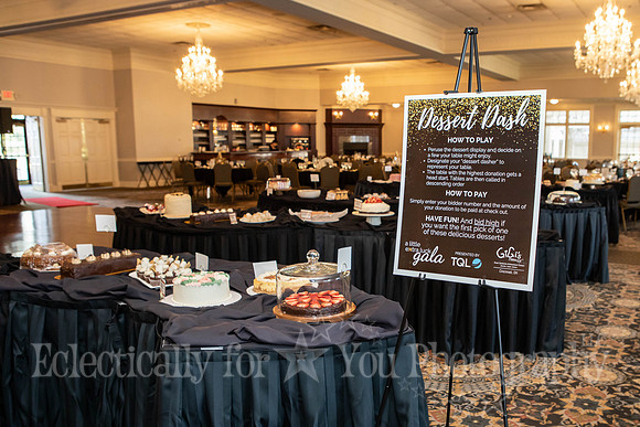 Gigi's Playhouse Gala 2026-02-28 (4)