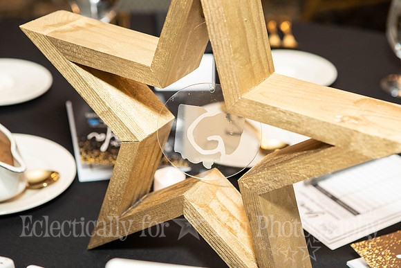 Gigi's Playhouse Gala 2026-02-28 (2)
