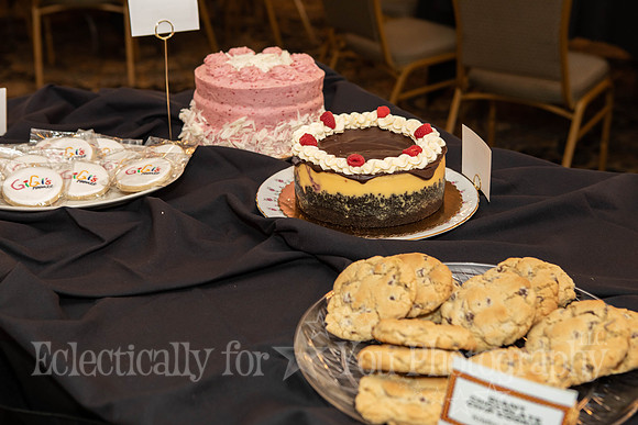 Gigi's Playhouse Gala 2026-02-28 (13)
