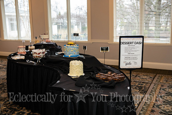 GiGis Playhouse Gala 2025-03-15 (16)